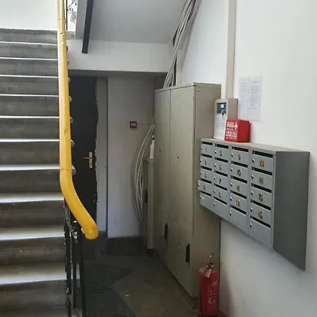 Hot Ernestines 7-3 Enjoy The Feel Of And History! * リガ